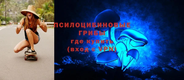 mdma Бородино