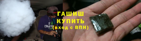 ECSTASY Богданович
