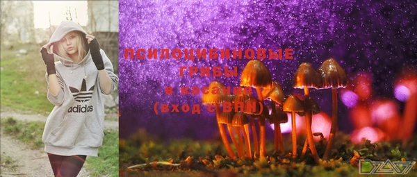 mdma Бородино