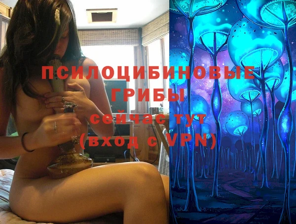 mdma Бородино