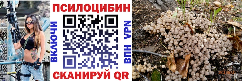 дарнет шоп  Киренск  Галлюциногенные грибы мицелий 